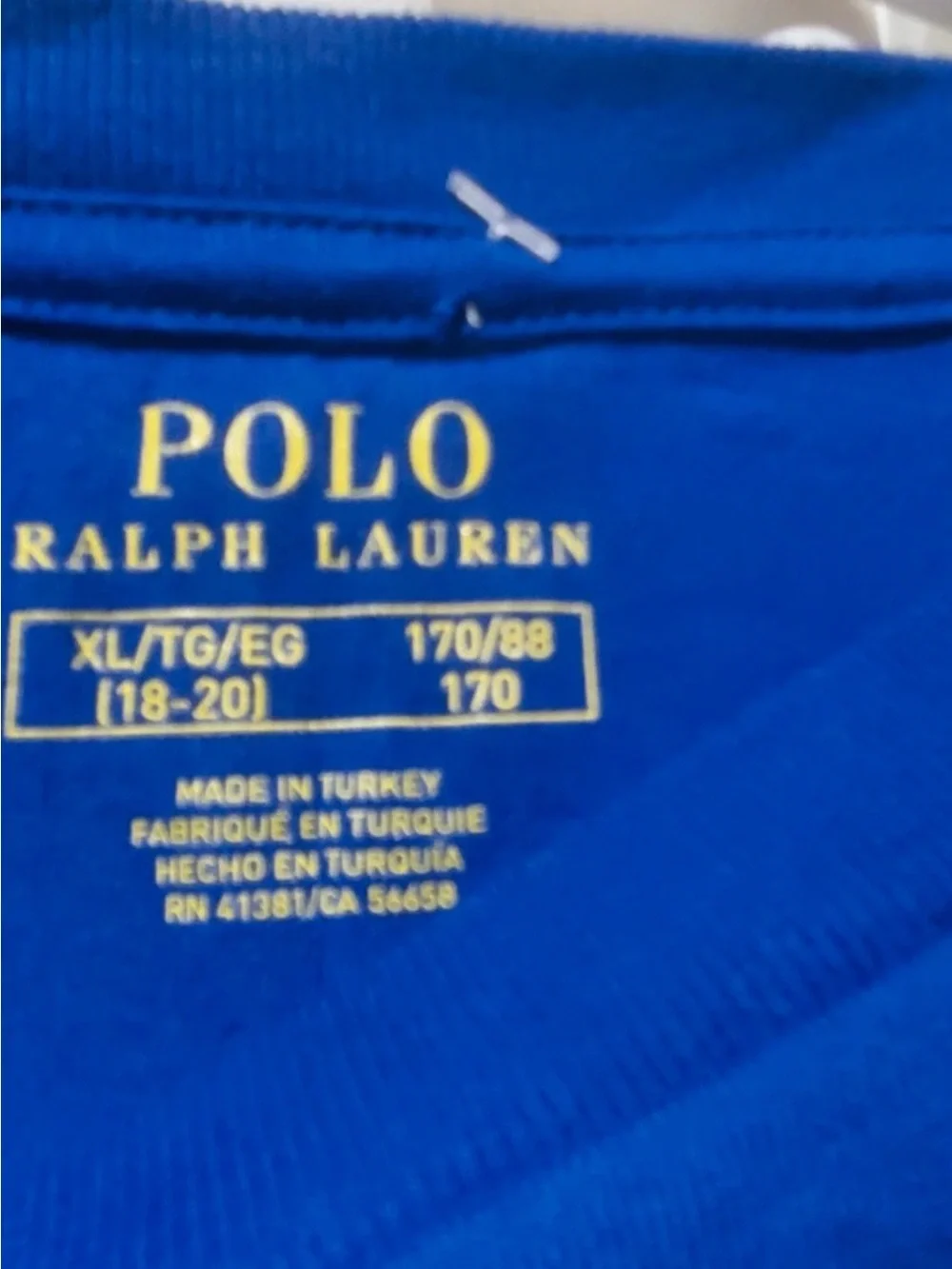 Ralph Lauren Blue Ski Bear Long-Sleeve Tee
